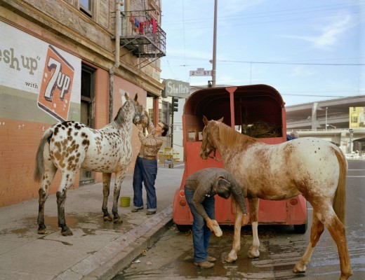 loose-horses-arent-a-common-sight-in-the-city-anymore