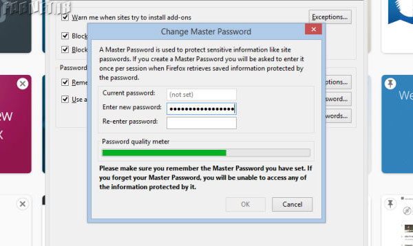 Firefox-Master-Password