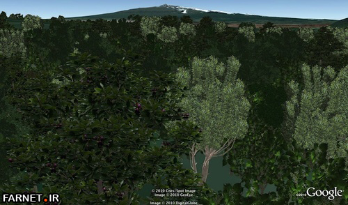 google earth 6.0 tree