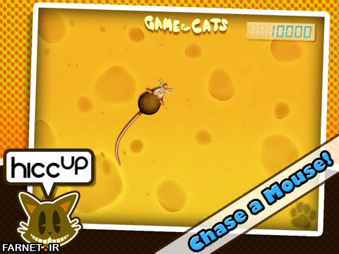 iPad Game for cats 4