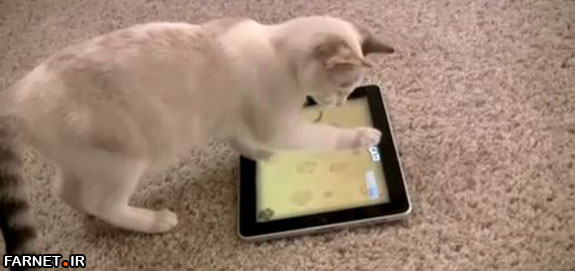 iPad Game for cats