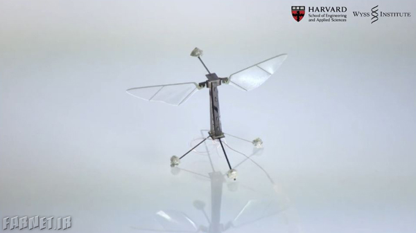World-smallest-flying-robot-insect