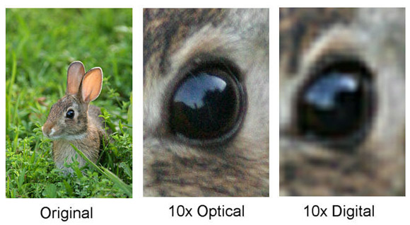 Optical-vs-Digital-Zoom
