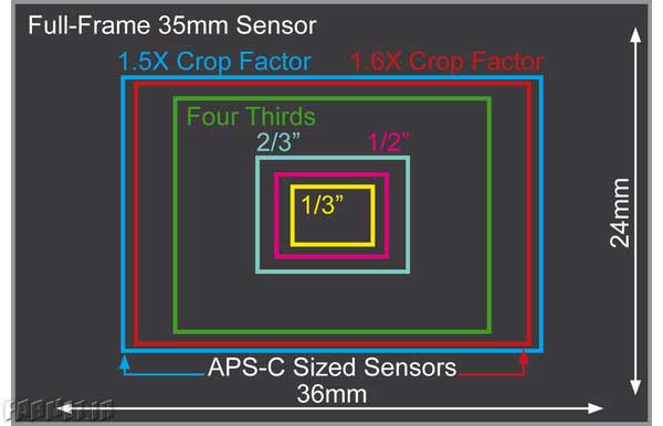 Compare-Sensors-in-Digital-Camera