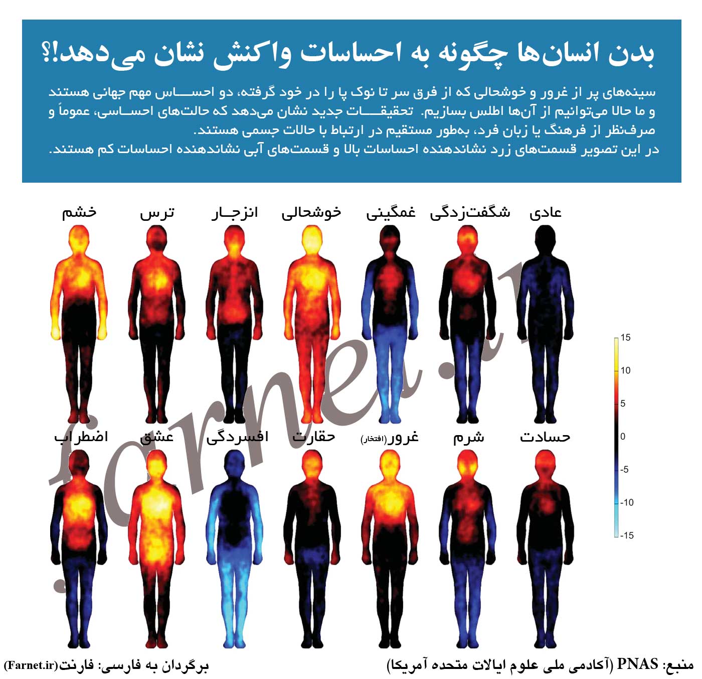Body Atlas Reveals Where We Feel Happiness and Shame