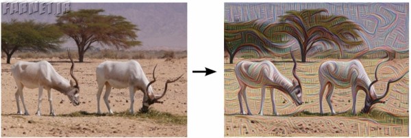google-photos-neural-networks-lower-layer
