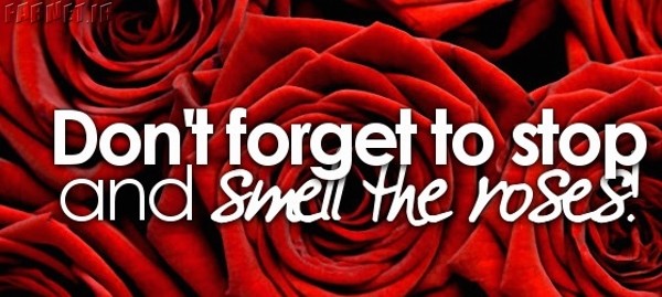 smell roses