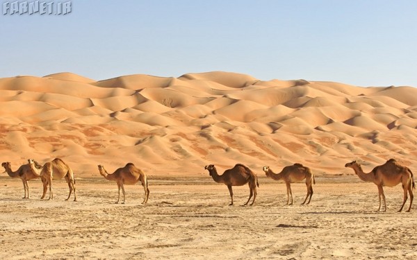 Empty Quarter, Arabian Peninsula
