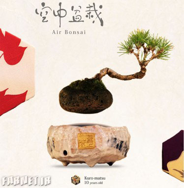 air-bonsai-2-374x383