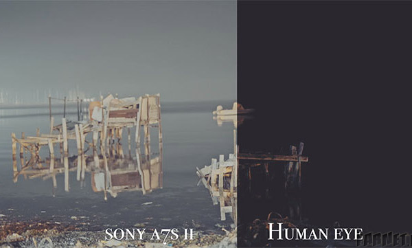 human-eye-vs-sony-a7s-ii
