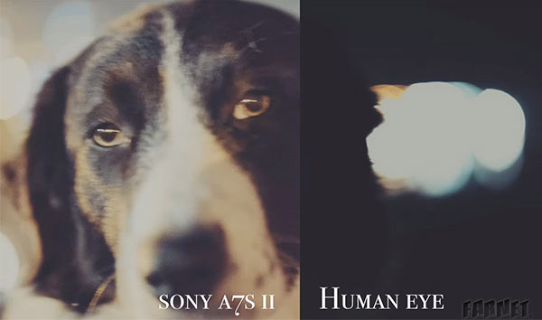 human-eye-vs-sony-alpha-7s-ii