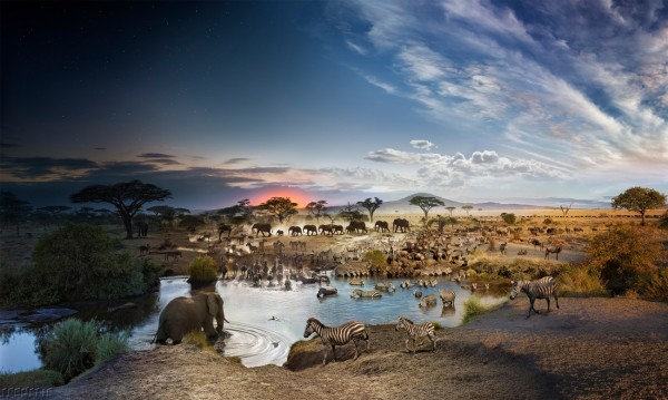 African-Watering-Hole