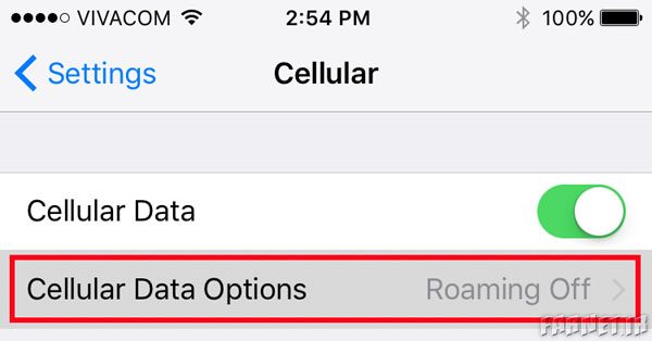 tap-on-cellular-data-options